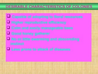 DESIRABLE CHARACTERISTICS OF COLONIES
 Capable of adopting to floral resources
 Higher reproductive efficiency
 Calm and easily manageable bees
 Good honey gatherer
 No or little swarming and absconding
instinct
 Less prone to attack of diseases
 