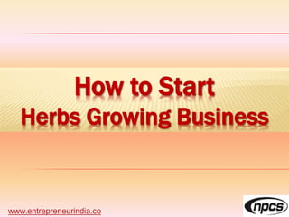 www.entrepreneurindia.co
How to Start
Herbs Growing Business
 