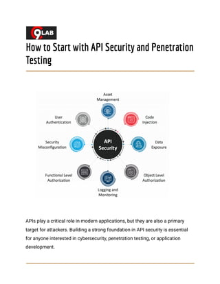Comprehensive Guide to API Security and Penetration Testing for ...