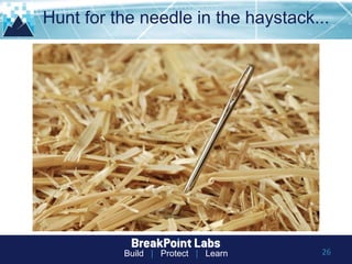 Build | Protect | Learn
Hunt for the needle in the haystack...
26
 
