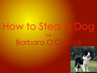 How To Steal A Dog