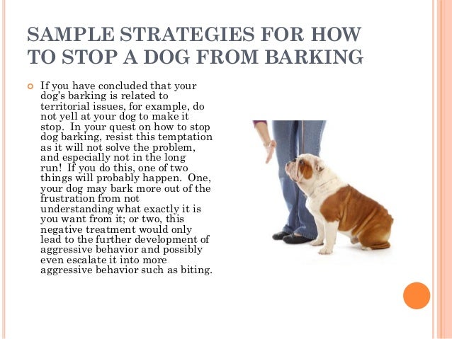 how to make stop barking how to stop a from barking how to make stop barking how to stop a from barking