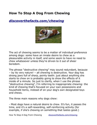 How To Stop A Dog From Chewing

discoverthefacts.com/chewing




The act of chewing seems to be a matter of individual preference
among dogs: some have an innate desire to chew as a
pleasurable activity in itself, and some seem to have no need to
chew whatsoever unless they’re driven to it out of sheer
boredom.

The phrase “destructive chewing” may sound redundant, because
– by its very nature! – all chewing is destructive. Your dog has
strong jaws full of sharp, pointy teeth: just about anything she
starts to chew on is probably going to show the effects of it
inside of a minute. So just to clarify, when I use the phrase
“destructive chewing”, I’m referring to inappropriate chewing: the
kind of chewing that’s focused on your own possessions and
household items, instead of on your dog’s own designated toys
and chews.

The three main reasons why dogs chew:

- Most dogs have a natural desire to chew. It’s fun, it passes the
time, and it’s a self-rewarding, self-reinforcing activity (for
example, if she’s chewing on something that tastes good.)

How To Stop A Dog From Chewing   discoverthefacts.com/chewing
 
