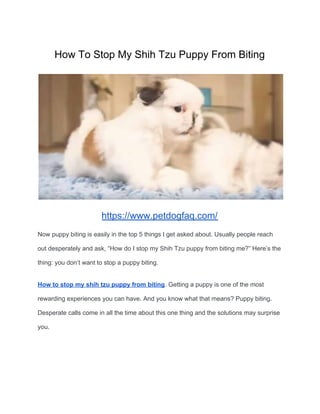 How To Stop My Shih Tzu Puppy From Biting
https://www.petdogfaq.com/
Now puppy biting is easily in the top 5 things I get asked about. Usually people reach
out desperately and ask, “How do I stop my Shih Tzu puppy from biting me?” Here’s the
thing: you don’t want to stop a puppy biting.
How to stop my shih tzu puppy from biting​. Getting a puppy is one of the most
rewarding experiences you can have. And you know what that means? Puppy biting.
Desperate calls come in all the time about this one thing and the solutions may surprise
you.
 
