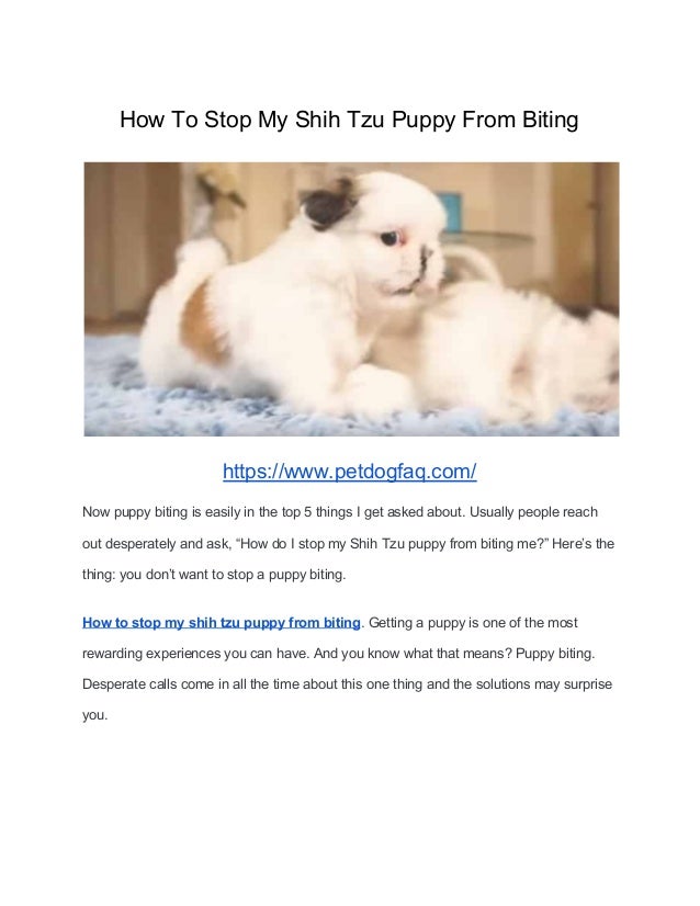 Stop Puppy Biting Fast With These 10 Tips Pupford Things To Know Before You Get This Top Guidelines Of Why My Puppy Bites And How To Stop It Dogo App