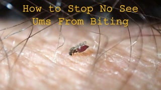 How to Stop No See
Ums From Biting
 