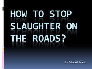                                                                                                            By  Sabina G. Dlakic How to stop slaughter on the roads? 