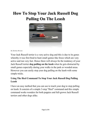 How To Stop Your Jack Russell Dog
        Pulling On The Leash




By Darlene Browne

Your Jack Russell terrier is a very active dog and this is due to its genes
whereby it was first bred to hunt small games like foxes which are very
active and run very fast. Hence there will always be the tendency of your
Jack Russell terrier dog pulling on the leash when he gets distracted by
small games especially during your walks in the park or wooded areas.
However you can easily stop your dog pulling on the leash with some
simple tricks.
Using The Heel Command To Stop Your Jack Russell Dog Pulling
Leash
I have an easy method that you can use to teach your dog to stop pulling
on leash. It consists of a simple 3-step "Heel" command and this simple
command works wonders for both puppies and full-grown Jack Russell
terriers and other dogs alike.




                                 Page 1 of 4
 