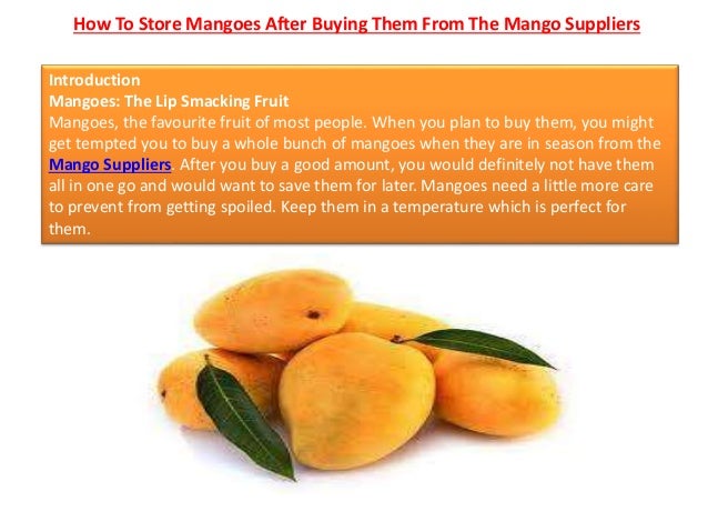 How To Store Mangoes After Buying Them From The Mango Suppliers
Introduction
Mangoes: The Lip Smacking Fruit
Mangoes, the favourite fruit of most people. When you plan to buy them, you might
get tempted you to buy a whole bunch of mangoes when they are in season from the
Mango Suppliers. After you buy a good amount, you would definitely not have them
all in one go and would want to save them for later. Mangoes need a little more care
to prevent from getting spoiled. Keep them in a temperature which is perfect for
them.
 