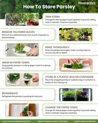 How To Store Parsley's - Homegrown Outlet