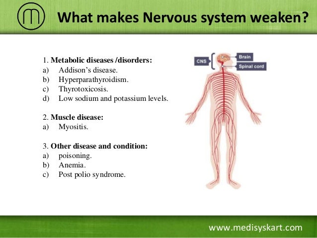 How to Strengthen Your Nervous System