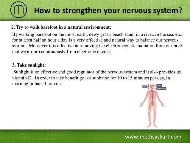 How to Strengthen Your Nervous System