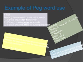 Example of Peg word use
FIRST
Learning the reasons to preserve the forests:
1. Forests provide food for animals
2. Forests provide shelter for animals
3. Forests provide lumber for building and paper
 