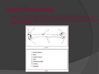 Using Flashcards
Flashcards are a very useful tool in learning or remembering information such
as: Vocabulary Words and Meanings, Math Formulas, History Facts, and Correct
Spellings or Words.
 