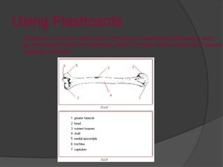 The Loci Method is difficult for
some people are not Kinesthetic
Learners. See if you can apply the
Kinesthetic Learning M...