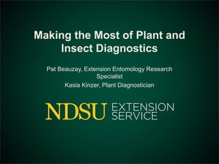 Making the Most of Plant and 
Insect Diagnostics 
Pat Beauzay, Extension Entomology Research 
Specialist 
Kasia Kinzer, Plant Diagnostician 
 