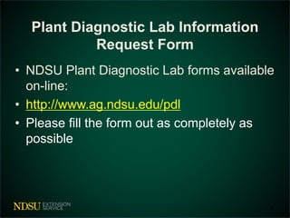 Plant Diagnostic Lab Information 
Request Form 
• NDSU Plant Diagnostic Lab forms available 
on-line: 
• http://www.ag.ndsu.edu/pdl 
• Please fill the form out as completely as 
possible 
3 
 