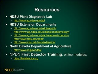 Resources 
• NDSU Plant Diagnostic Lab 
– http://www.ag.ndsu.edu/pdl 
• NDSU Extension Departments 
– http://www.ag.ndsu.edu/extplantpath/ 
– http://www.ag.ndsu.edu/extensionentomology/ 
– http://www.ag.ndsu.edu/plantsciences/extension 
– http://www.ndsu.edu/soils/ 
– http://www.ndsu.edu/snrs/extension/ 
• North Dakota Department of Agriculture 
– http://www.nd.gov/ndda/ 
• NPDN First Detector Training, online modules: 
– https://firstdetector.org 
30 
 