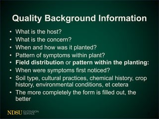 Quality Background Information 
• What is the host? 
• What is the concern? 
• When and how was it planted? 
• Pattern of symptoms within plant? 
• Field distribution or pattern within the planting: 
• When were symptoms first noticed? 
• Soil type, cultural practices, chemical history, crop 
history, environmental conditions, et cetera 
• The more completely the form is filled out, the 
better 
6 
 
