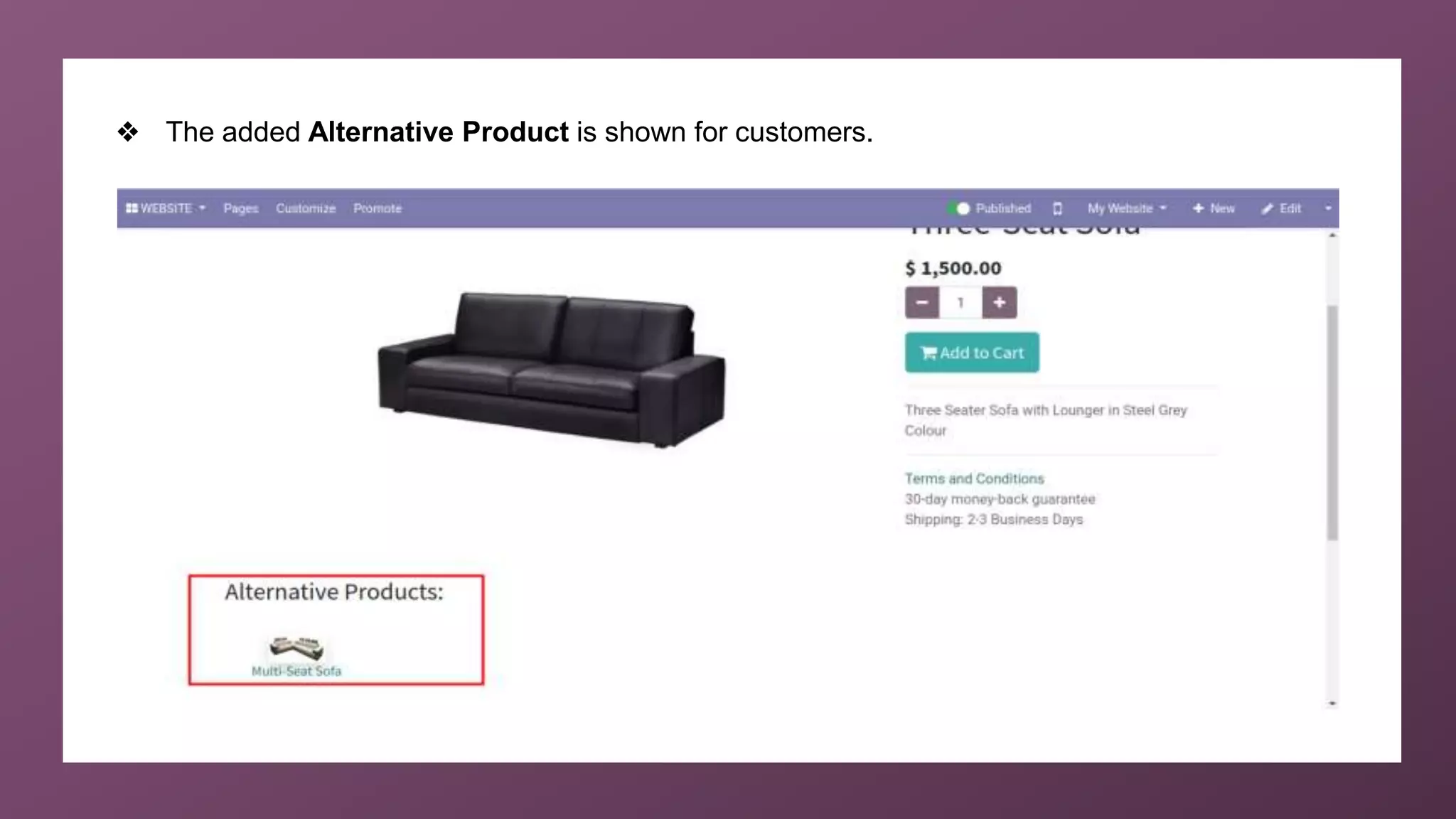 ❖ The added Alternative Product is shown for customers.