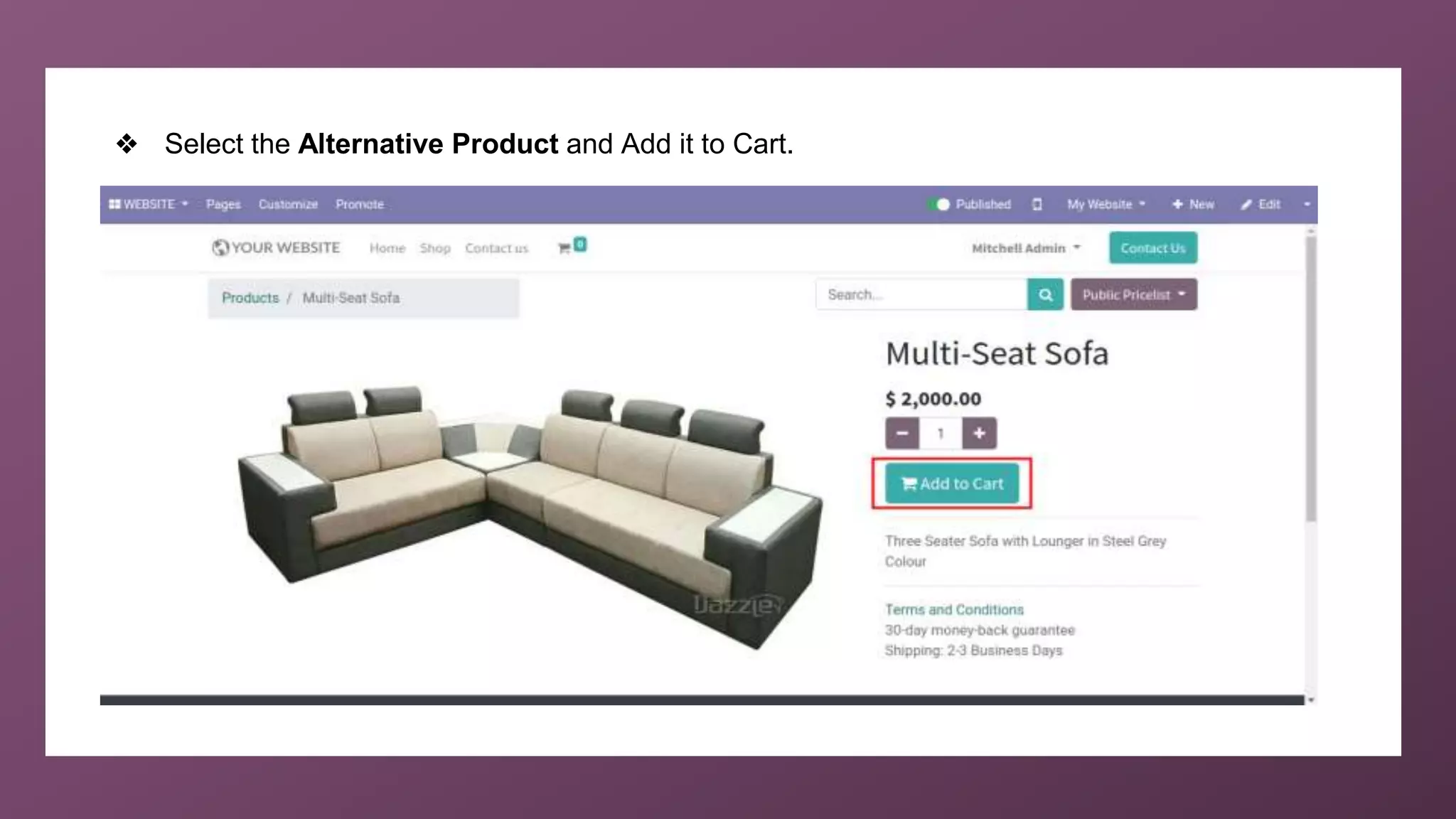 ❖ Select the Alternative Product and Add it to Cart.