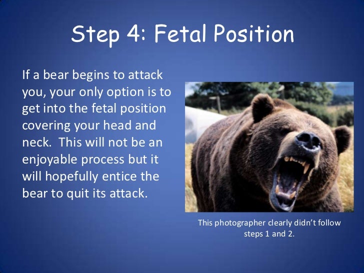 How to Survive a Bear Attack!