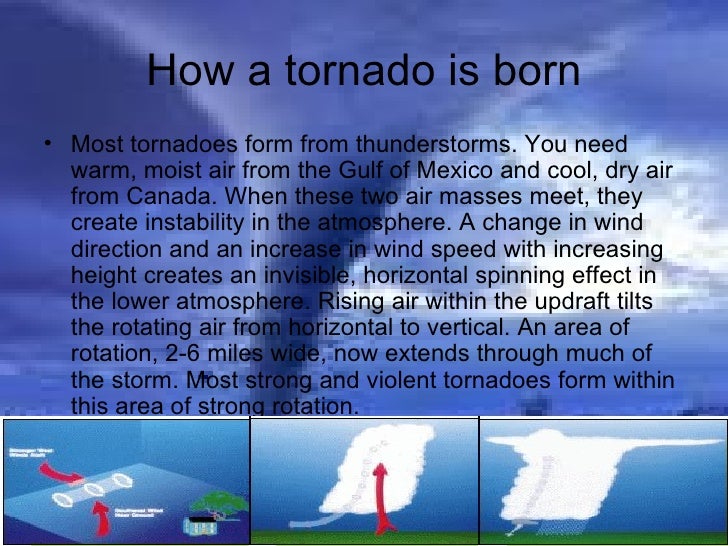 How to Survive a Tornado