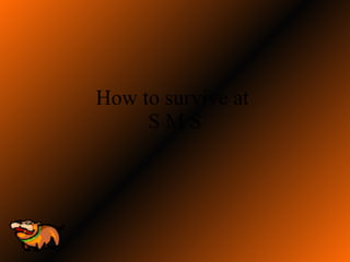 How to survive at  S M S 