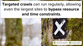 Targeted crawls can run regularly, allowing
even the largest sites to bypass resource
and time constraints.
@rachellcostello brightonSEO
 