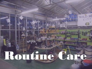 Routine Care
 