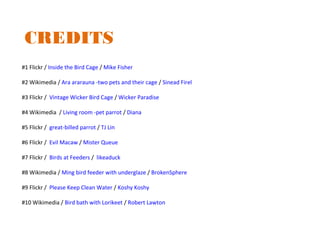 #1 Flickr / Inside the Bird Cage / Mike Fisher
#2 Wikimedia / Ara ararauna -two pets and their cage / Sinead Firel
#3 Flickr /  Vintage Wicker Bird Cage / Wicker Paradise
#4 Wikimedia  / Living room -pet parrot / Diana
#5 Flickr /  great-billed parrot / TJ Lin
#6 Flickr /  Evil Macaw / Mister Queue
#7 Flickr /  Birds at Feeders /  likeaduck
#8 Wikimedia / Ming bird feeder with underglaze / BrokenSphere
#9 Flickr /  Please Keep Clean Water / Koshy Koshy 
#10 Wikimedia / Bird bath with Lorikeet / Robert Lawton
CREDITS
 