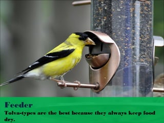 Feeder
Tolva­types are the best because they always keep food
dry.
 