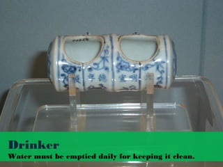 Drinker
Water must be emptied daily for keeping it clean.
 