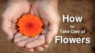 How to Take Care of Flowers
How
to
Take Care of
Flowers
 