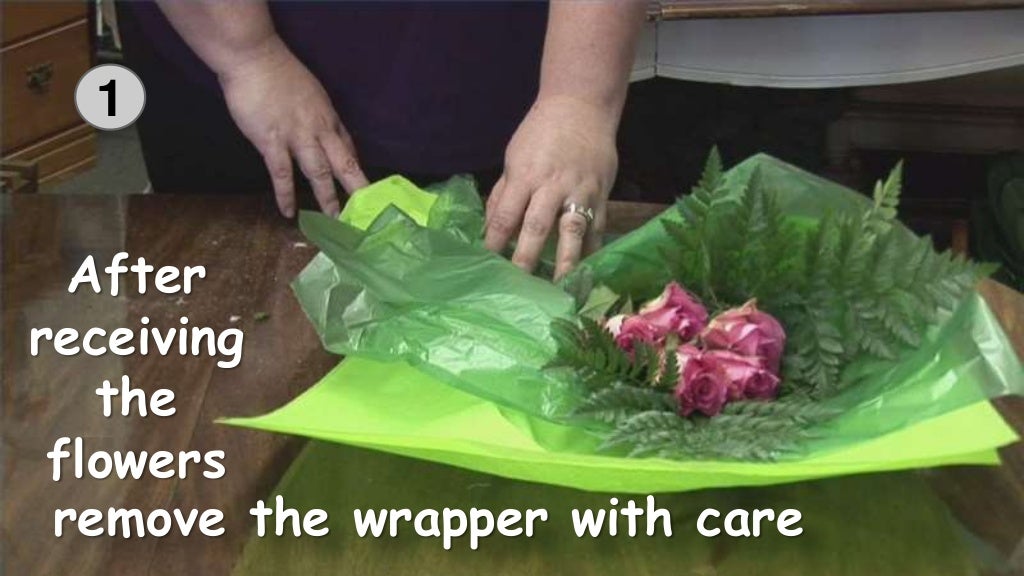 How to Take Care Of Flowers