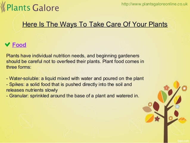 how to take care of plants plants galore online how to take care of plants plants galore online
