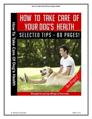 How To Take Care Of Your Dog’s Health
© Wings Of Success Page 1 of 1
 
