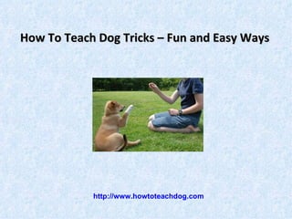 How To Teach Dog Tricks – Fun and Easy Ways   http://www.howtoteachdog.com 