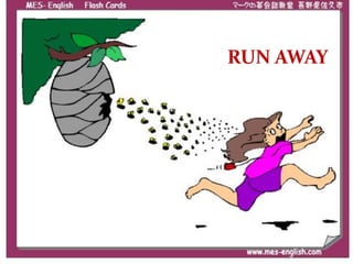 RUN AWAY 
