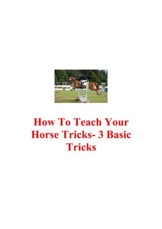 How To Teach Your
Horse Tricks- 3 Basic
       Tricks
 