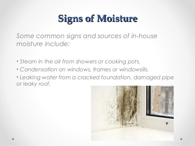 4 Common Sources of Carpet Damage and How to Prevent Them