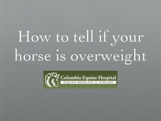 How to tell if your
horse is overweight
 