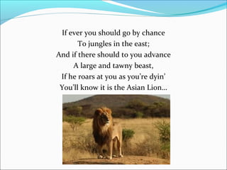 If ever you should go by chance
To jungles in the east;
And if there should to you advance
A large and tawny beast,
If he roars at you as you’re dyin’
You’ll know it is the Asian Lion…

 