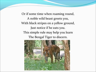 Or if some time when roaming round,
A noble wild beast greets you,
With black stripes on a yellow ground,
Just notice if he eats you.
This simple rule may help you learn
The Bengal Tiger to discern.

 