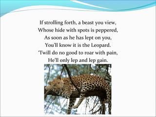 If strolling forth, a beast you view,
Whose hide with spots is peppered,
As soon as he has lept on you,
You’ll know it is the Leopard.
‘Twill do no good to roar with pain,
He’ll only lep and lep gain.

 