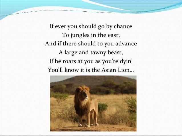 How to tell wild animals