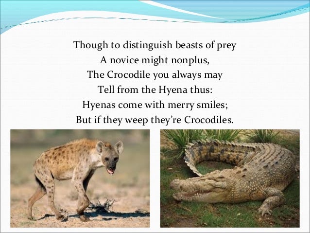 How To Tell Wild Animals