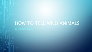 How to Tell Wild Animals