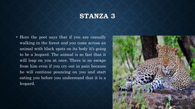 HOW TO TELL WILD ANIMALS Module 1.pptx