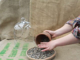 How to make a terrarium with Emily at Snug Harbor Farm